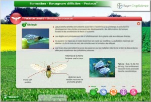 Formation elearning insecticides